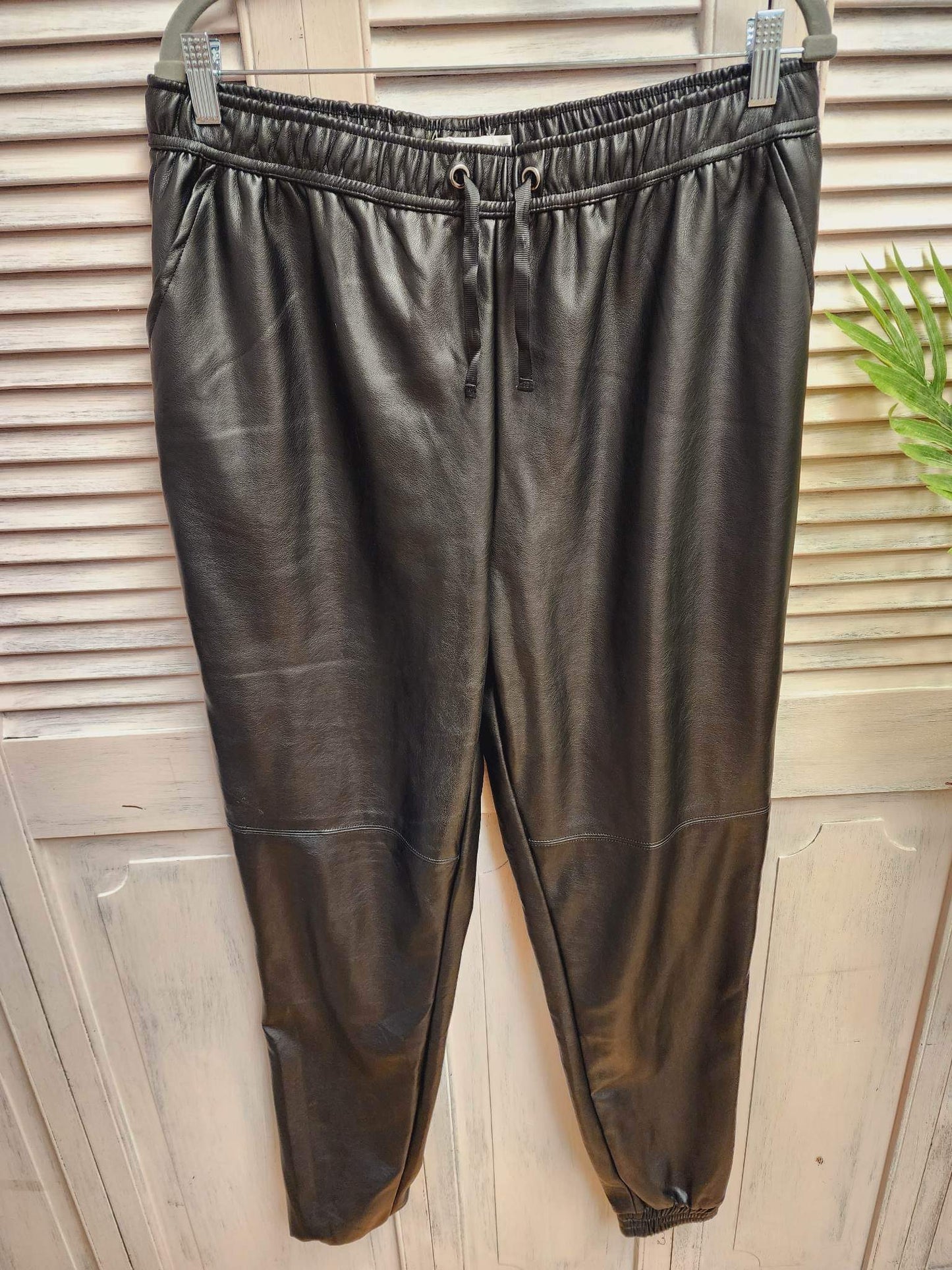 Ricki’s Vegan Leather Pants