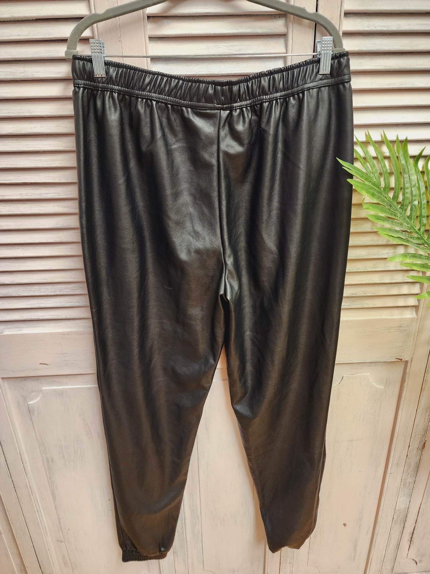 Ricki’s Vegan Leather Pants